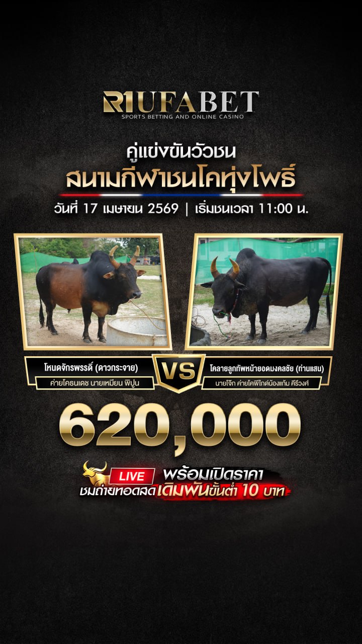 ���꡷���Ҿ