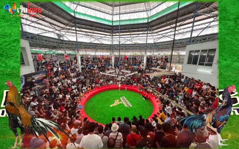 ���꡷���Ҿ