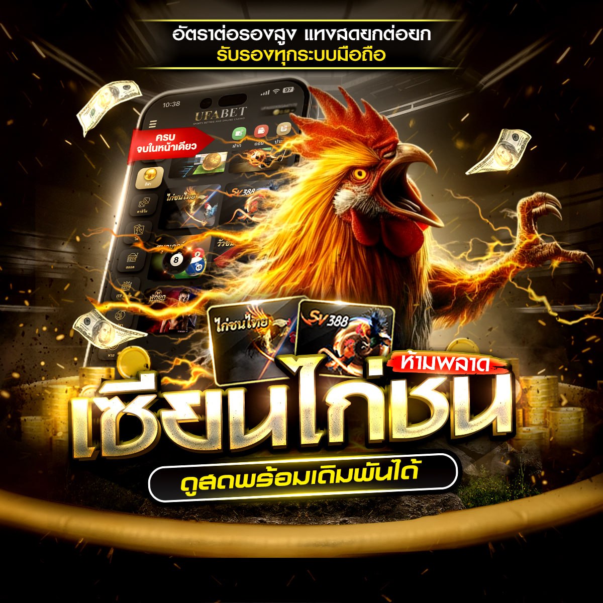 ���꡷���Ҿ