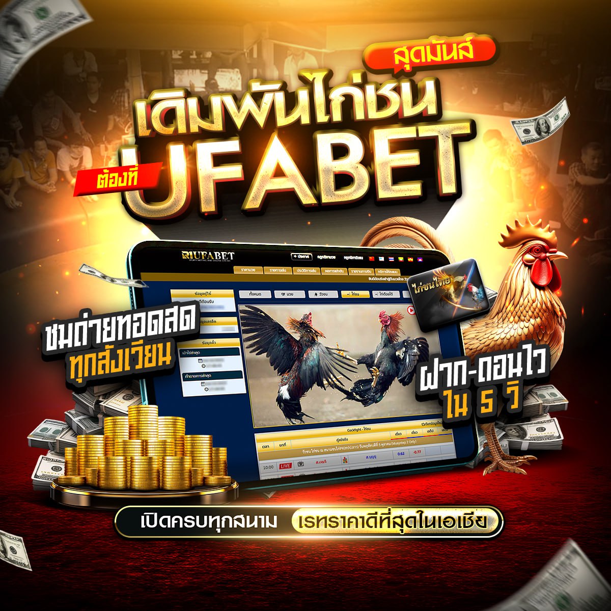 ���꡷���Ҿ