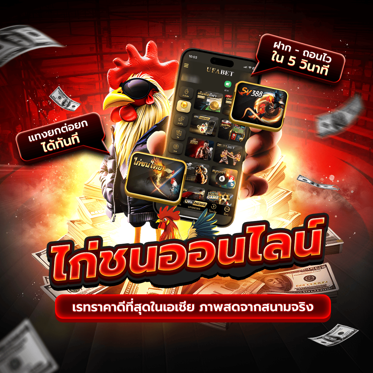 ���꡷���Ҿ