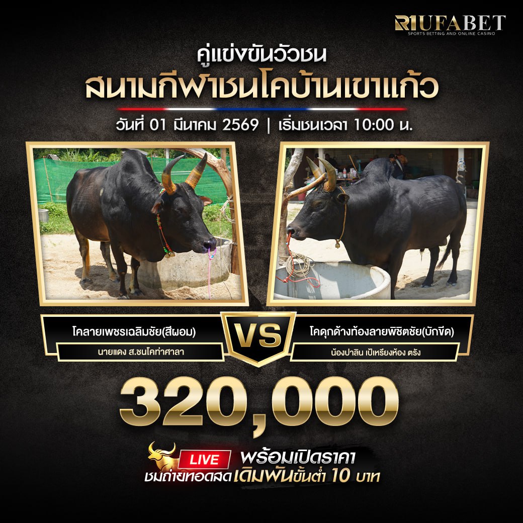 ���꡷���Ҿ